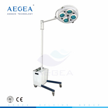 AG-LT010A-1 Vertical Krankenhaus beweglicher Klinik Therapie Untersuchungsraum mit Batterie Stand Lampe auf Rad